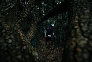 BIB: 
                            <button type="button" onclick="openModal(25688399)" class="btn btn-primary btn-sm float-right btn-popup" data-toggle="modal" data-target=".modal-high-quality">
                        <i class="fas fa-shopping-cart"></i> Add to Cart
                    </button>
                                            <button type="button" onclick="isThisMe(25688399, true)" class="btn btn-success btn-sm float-right btn-popup btn-isme hidden" data-toggle="tooltip" data-placement="bottom" title="นี่คือรูปของคุณใช่ไหม คลิกที่นี่เพื่อเอาเข้าอัลบั้ม">
                        <i class="fas fa-plus"></i> Add to album
                    </button>
                    <button type="button" onclick="isThisMe(25688399, false)" class="btn btn-warning btn-sm float-right btn-popup btn-isnotme hidden">
                        <i class="fas fa-ban"></i> Remove from album
                    </button>